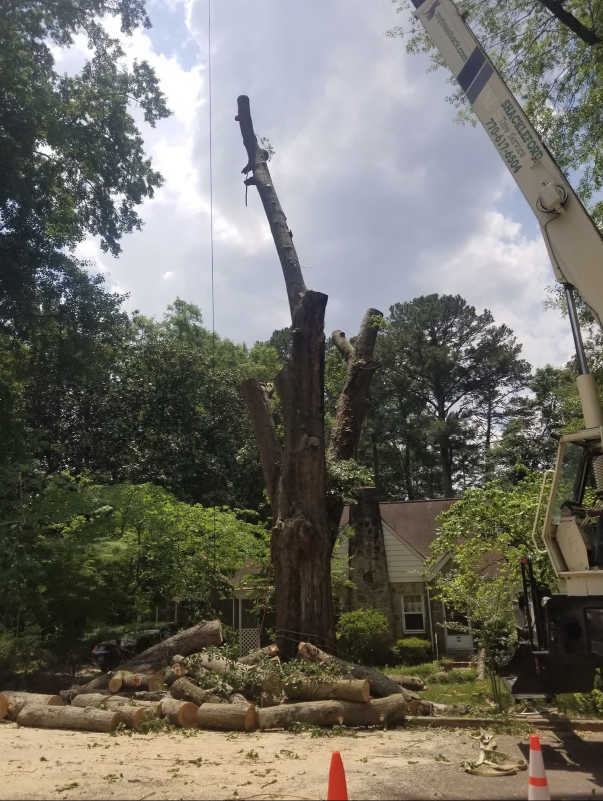 Shackleford Tree Service crane operating next to a large tree removal job site with cut log pile