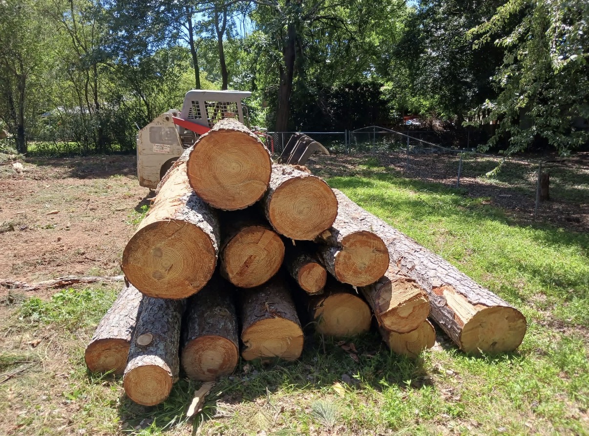 Stack of freshly cut tree trunk sections piled at a job site awaiting haul-off