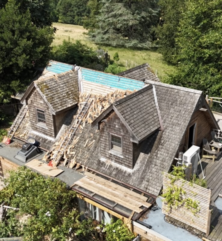 Damaged Old Roof