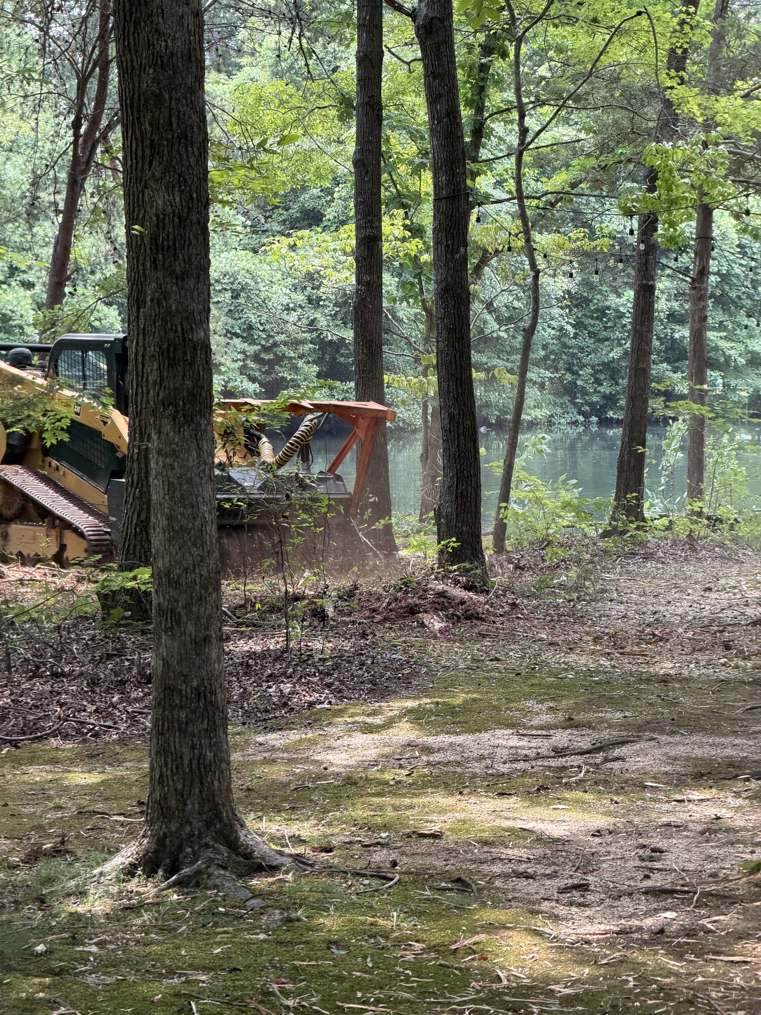 Forestry mulcher clearing brush along a wooded pond-front property