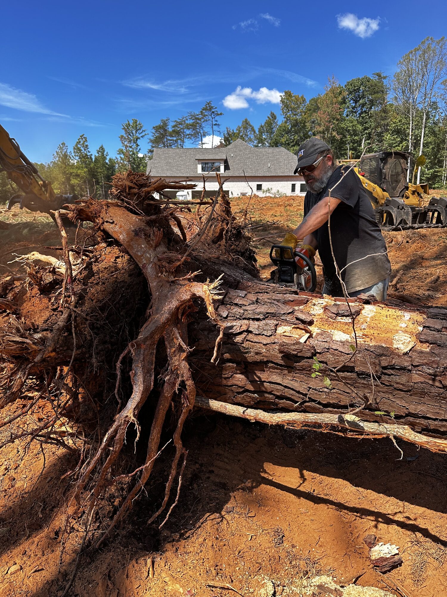 Large tree stump with roots fully extracted during a land clearing project
