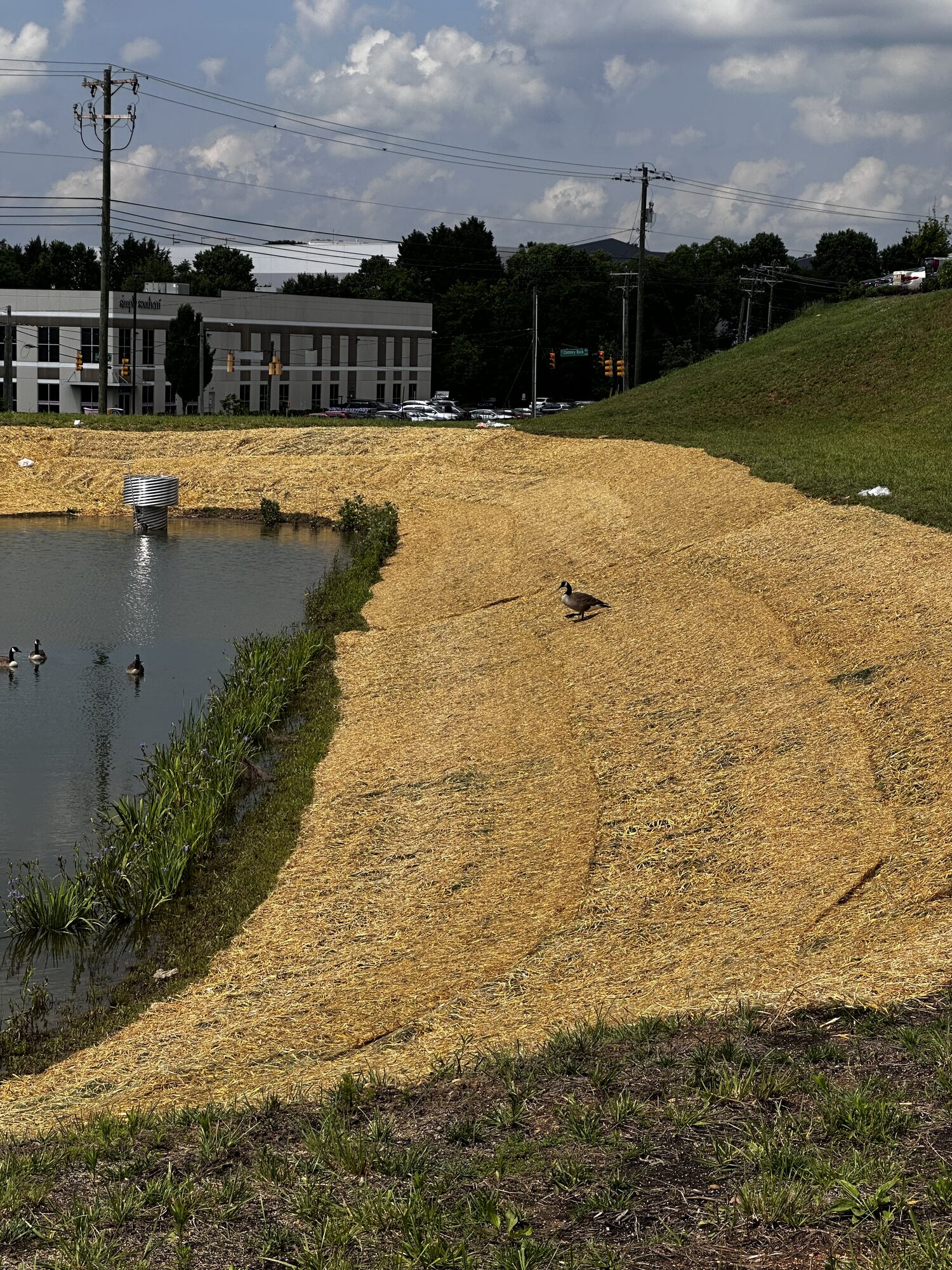 Erosion control blanket installed along a commercial retention pond bank