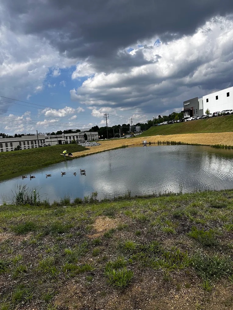 Retention pond bank maintenance and erosion control at a North Carolina commercial property