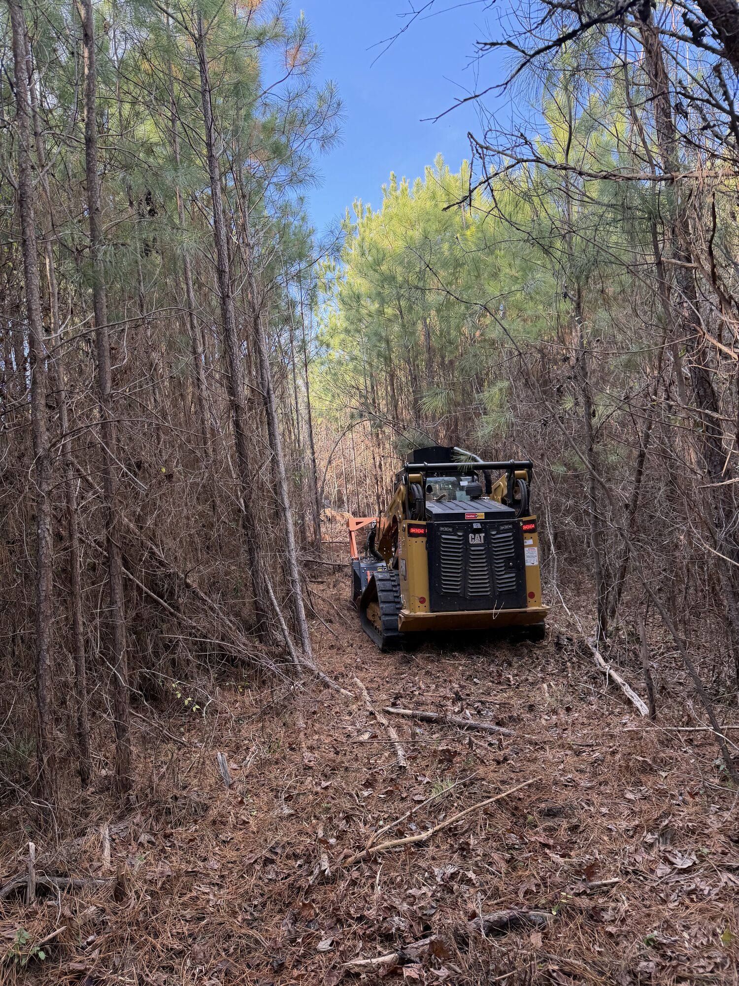 CAT forestry mulcher clearing overgrown brush on a wooded property in the Piedmont Triad, NC