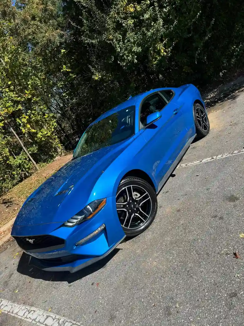Maintenance Detail — professional mobile detailing service in Asheville, NC