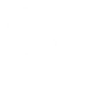 AHCA State of Florida