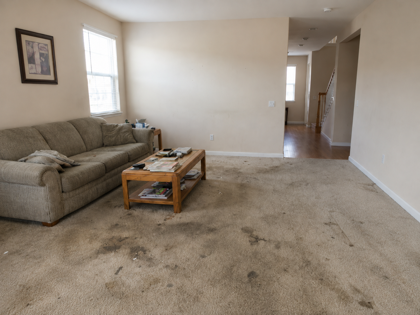 Elk Grove carpet cleaning pet odour removal before and after — after