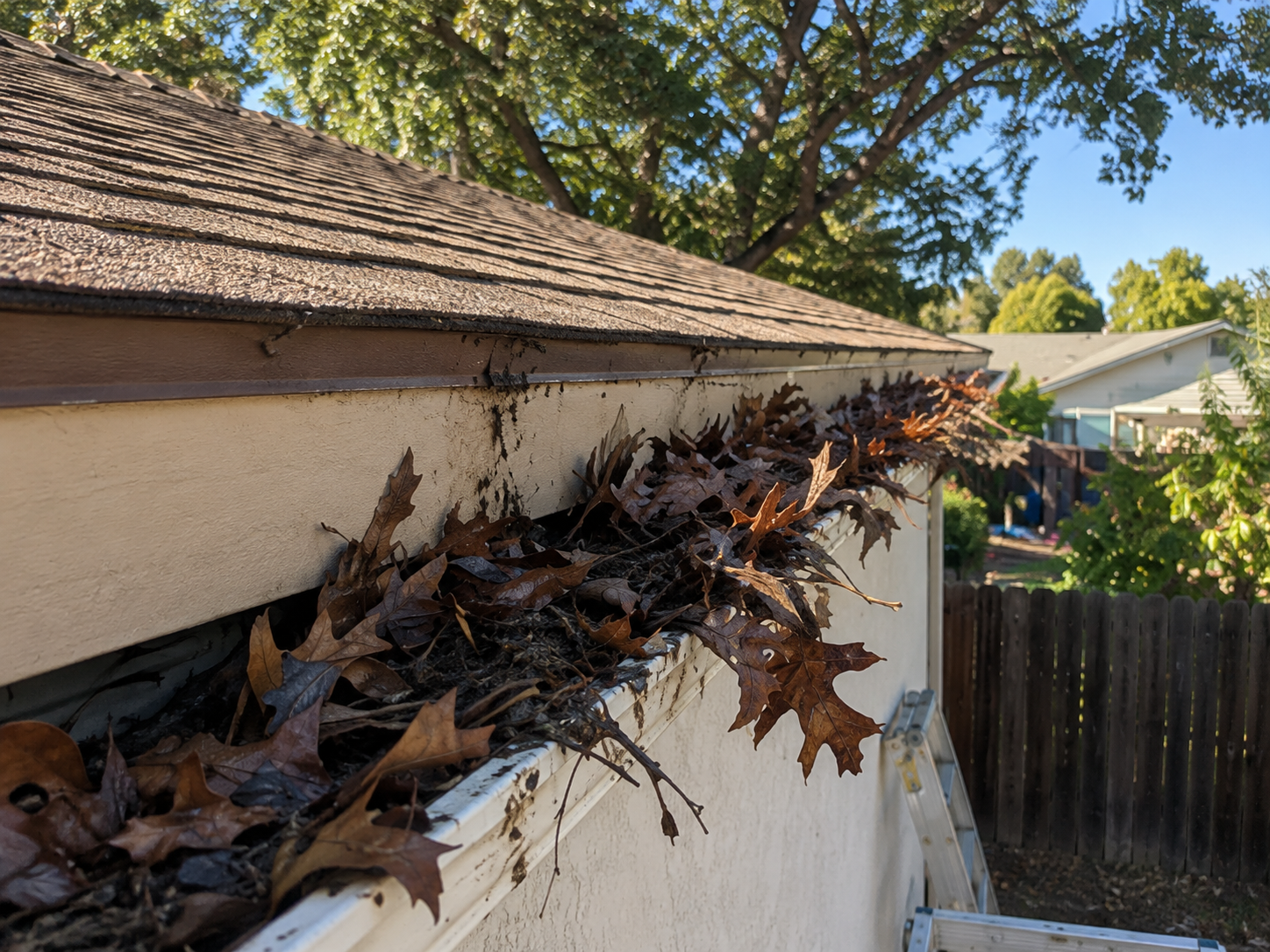Sacramento gutter cleaning before and after — before