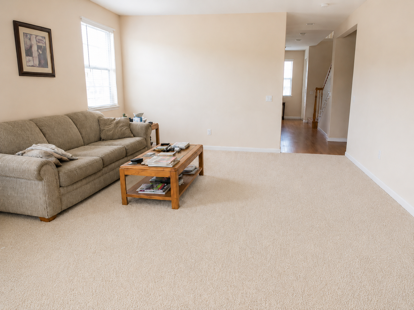 Elk Grove carpet cleaning pet odour removal before and after — before