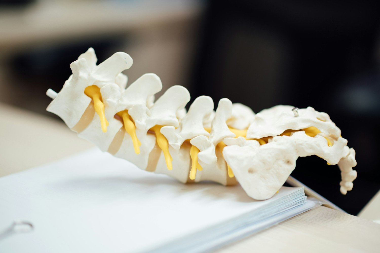 The Science Behind the "Cracking" Sound in Chiropractic Adjustments: What's Really Happening? - Chiropractic article from Lake Nona Chiropractic