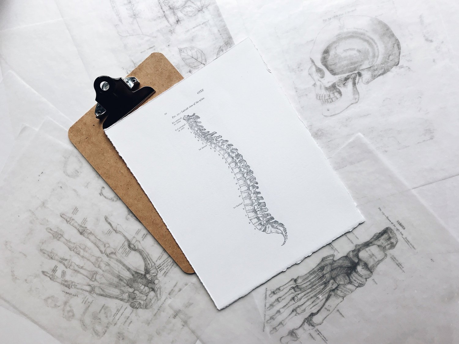 Chiropractic and High Blood Pressure: Can Adjustments Help? - Chiropractic article from Lake Nona Chiropractic