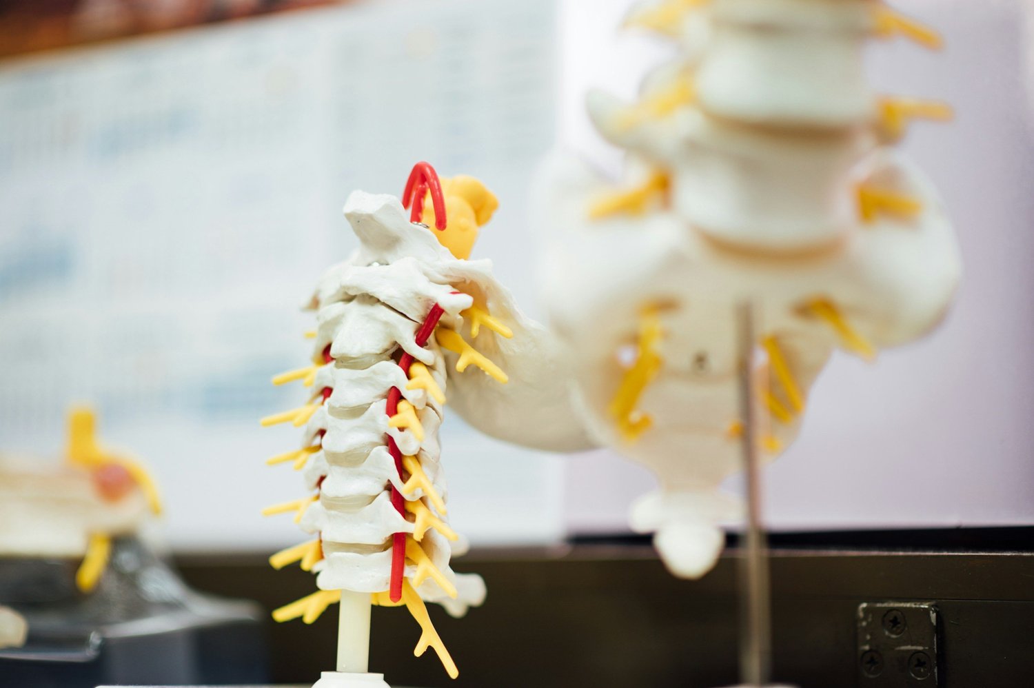 Understanding the Most Common Causes of Low Back Pain and How Our Chiropractic Care Can Help - Chiropractic article from Lake Nona Chiropractic