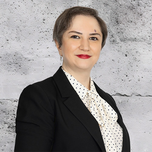 Team member 2