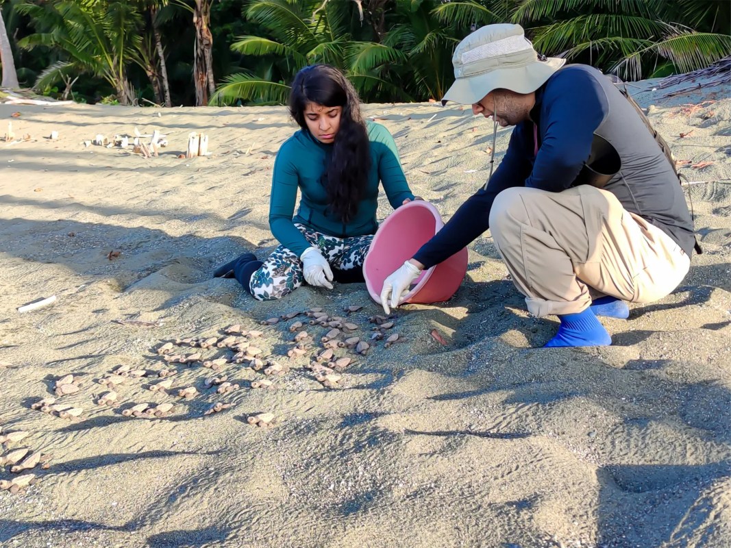Osa Conservation