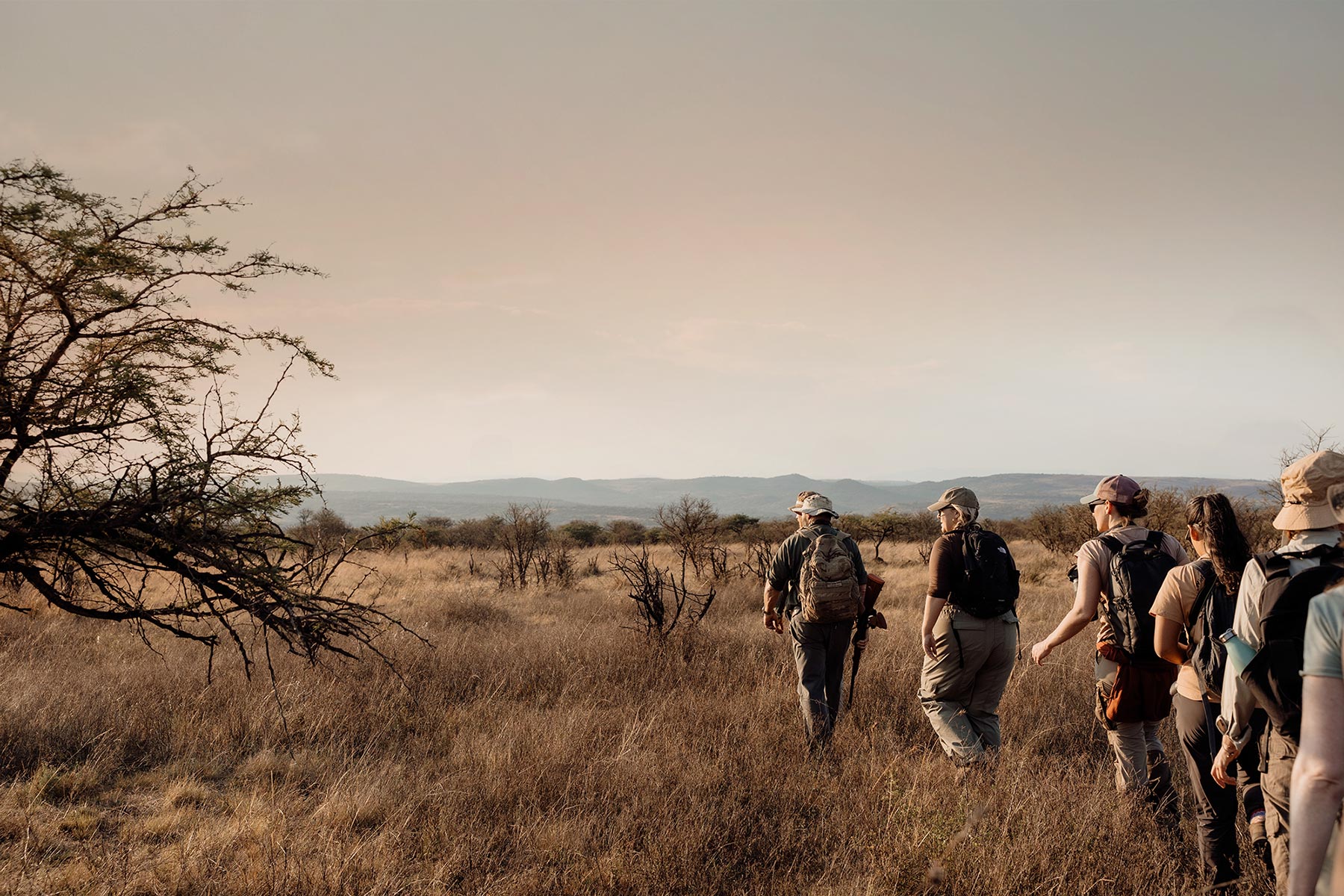 WildeCapture