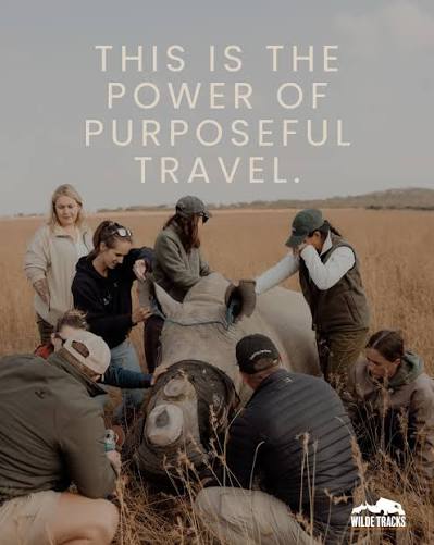 The power of purposeful travel - Wilde Tracks field conservation team
