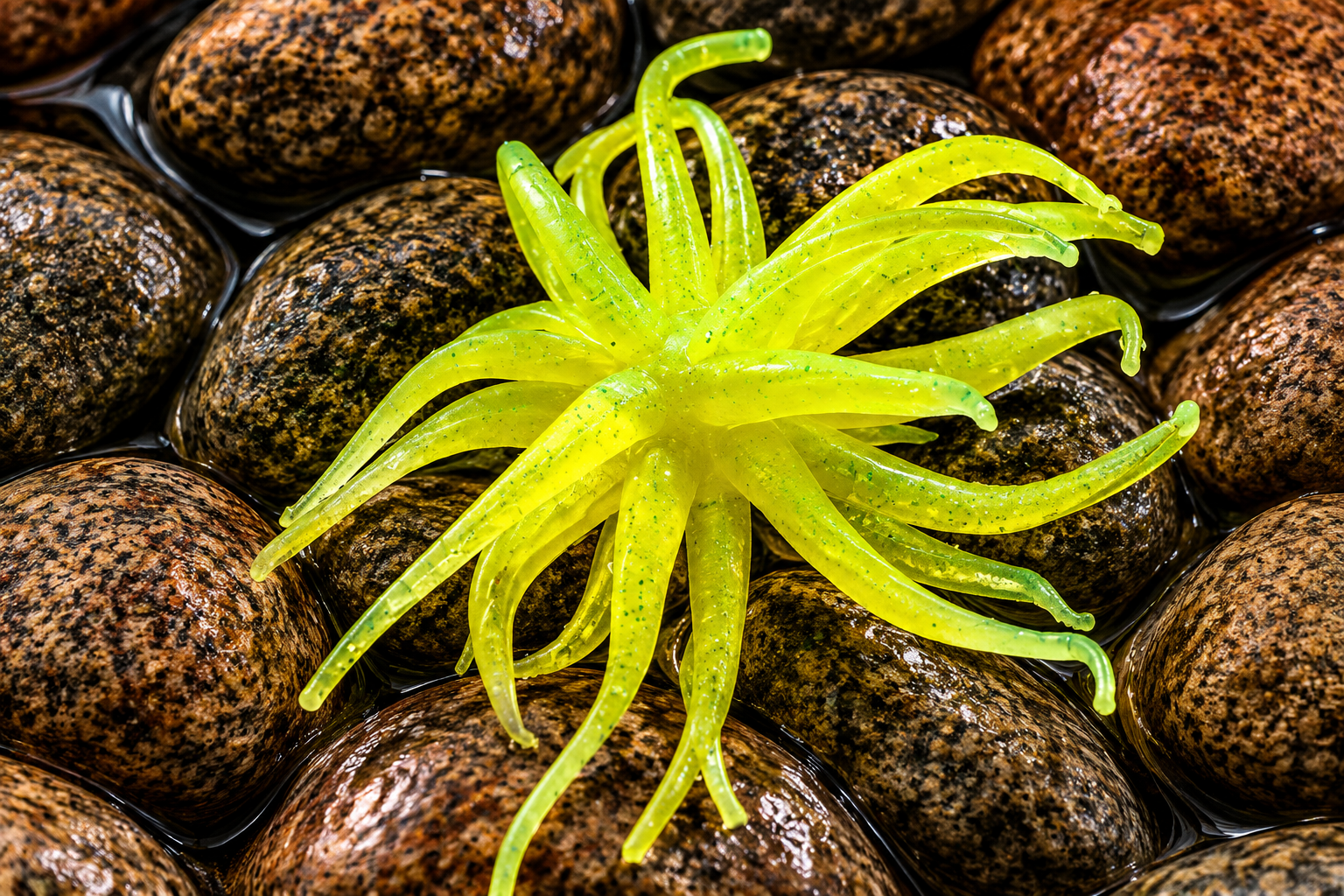 Chartreuse