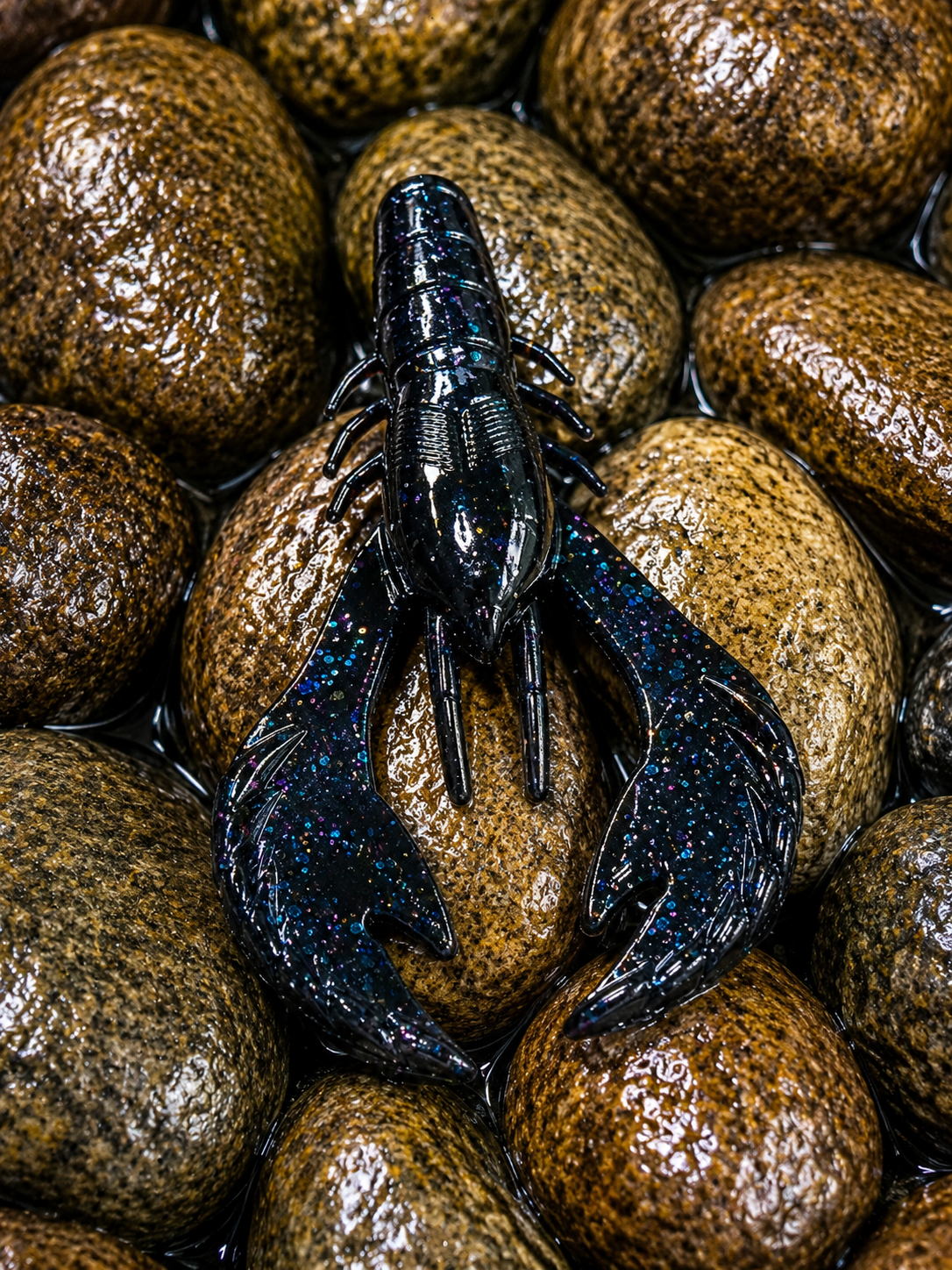 Black W/ Blue Flake Halo