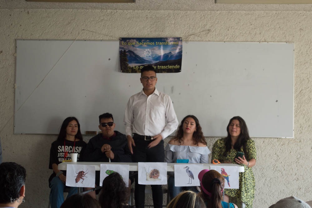 Sesiones de aprendizaje grupal 📚🤝