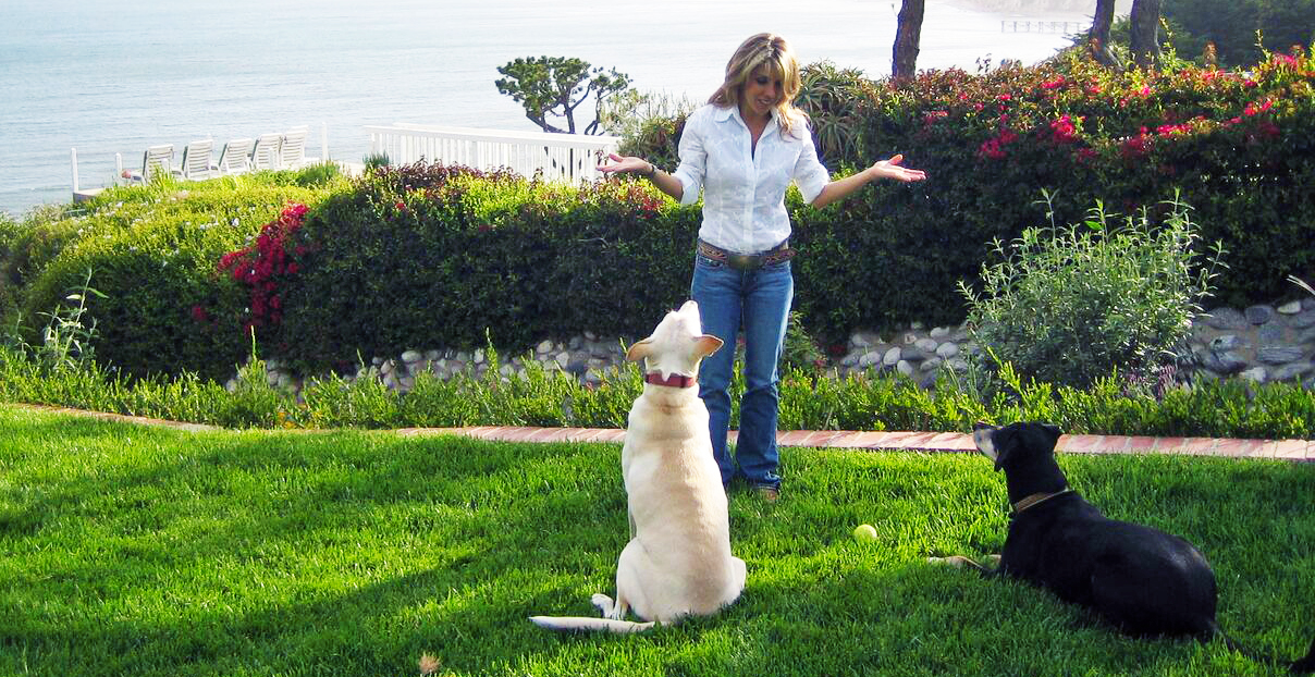 Dog Training Vacation (Board & Train)
