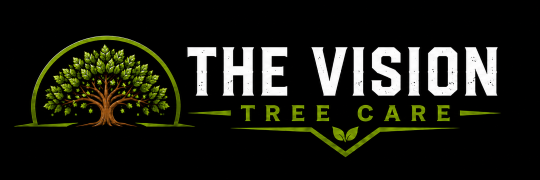 The Vision Tree Care Logo