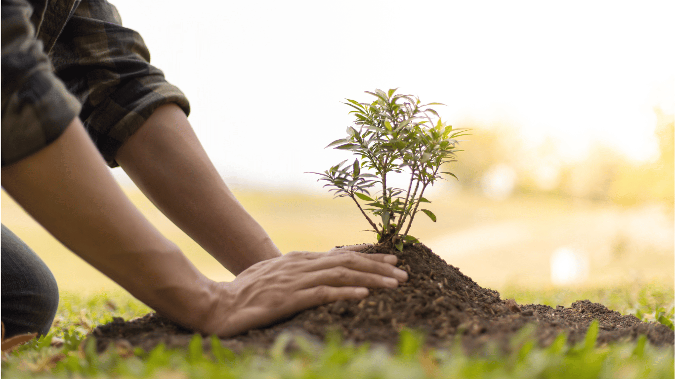 Yard cleanup service in Arvada Colorado — crew clearing branches and debris after tree work