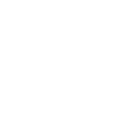Fanatics Credit