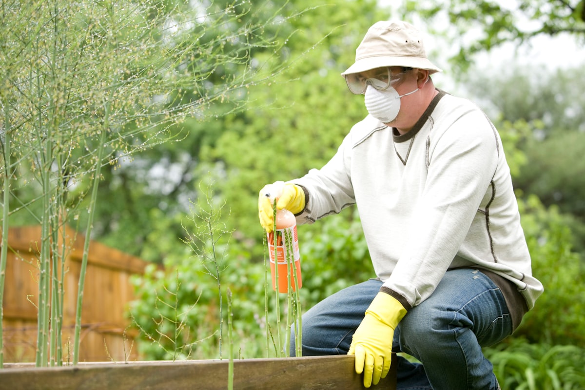 Pest Control demonstration hero