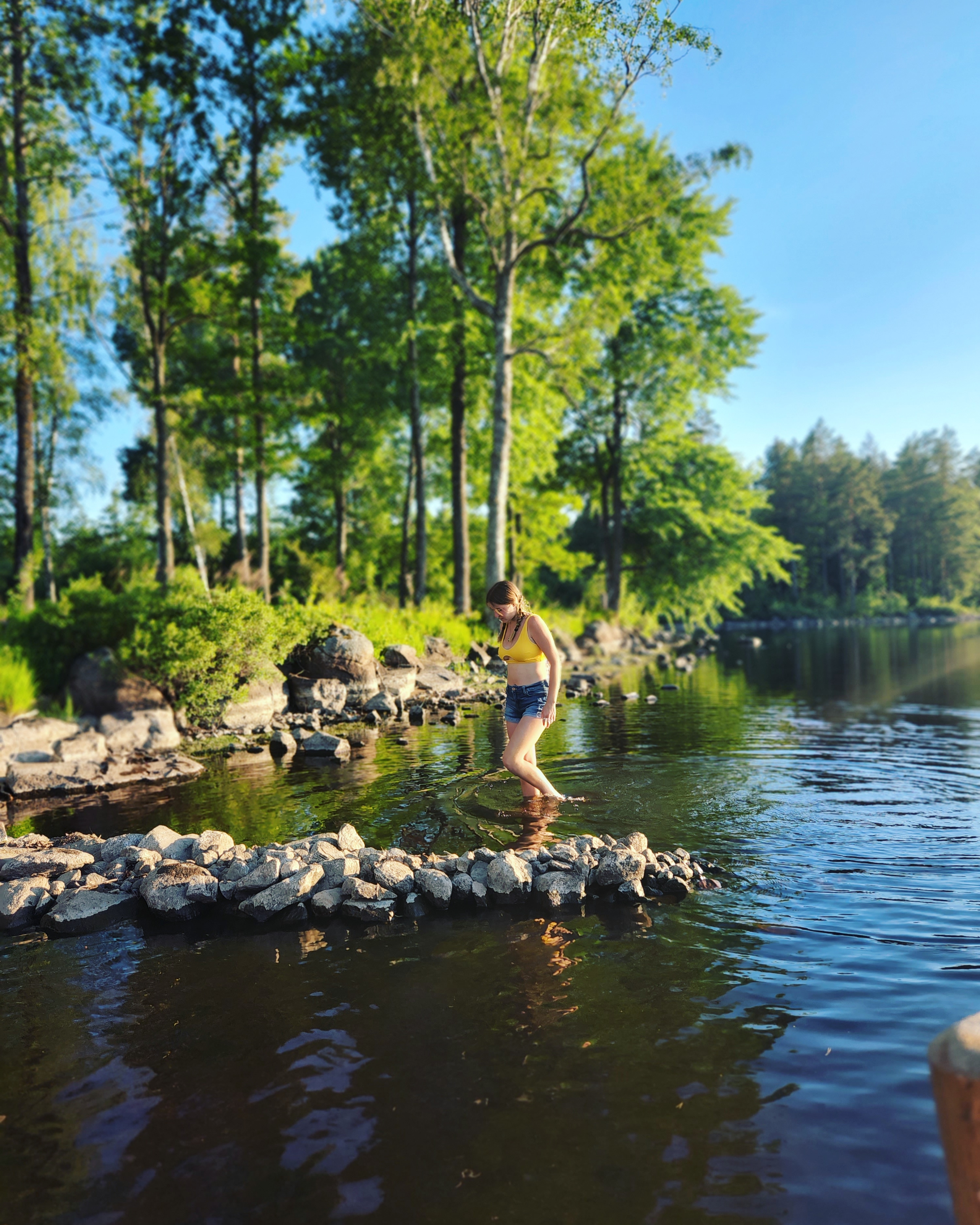 Reverence for nature in Scandinavian waters