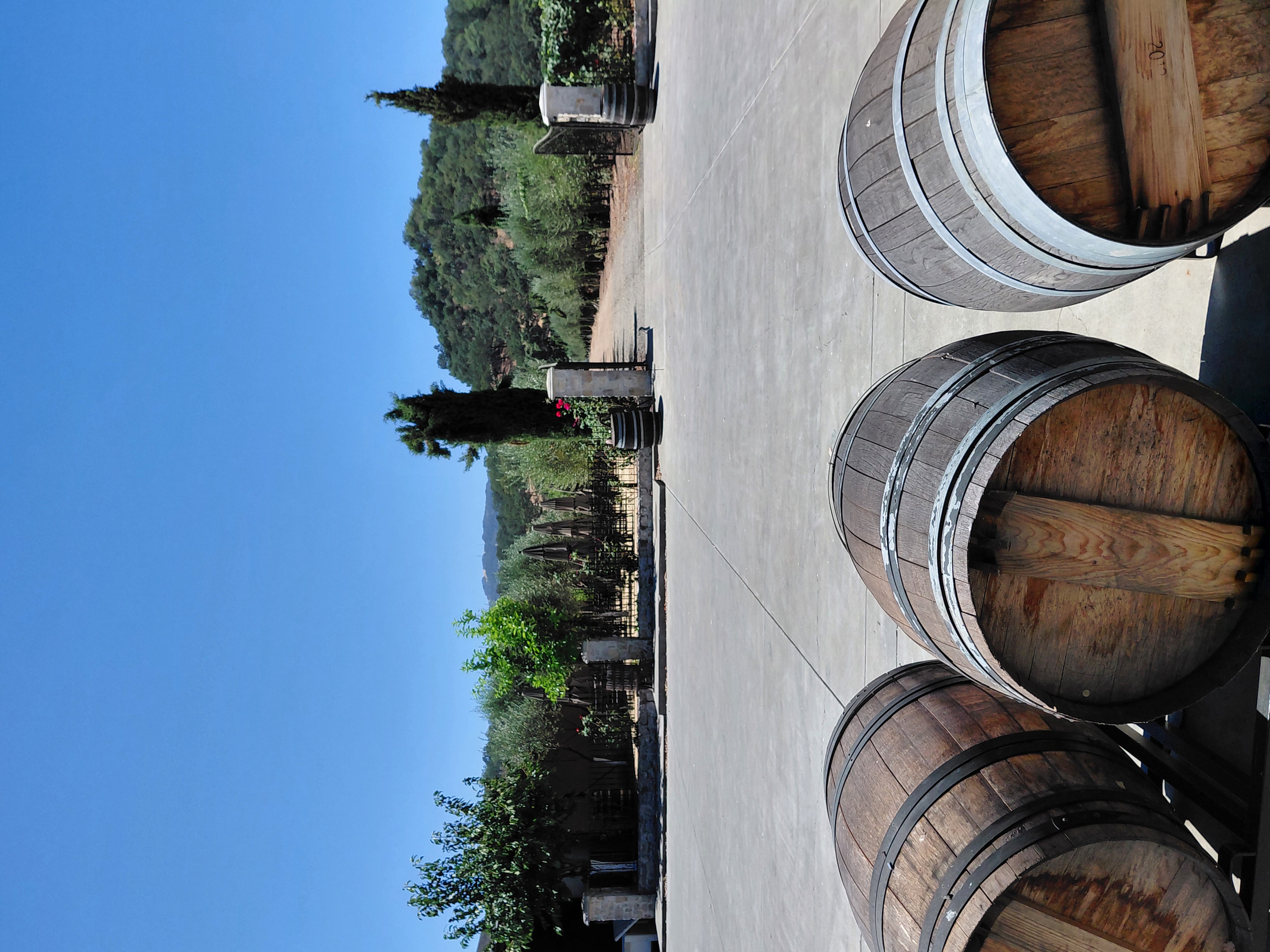 Wine barrels lined up at a Napa Valley winery overlooking vineyards
