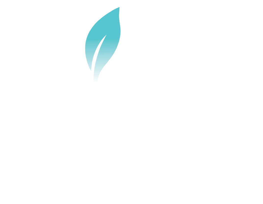 MP Media Design and Marketing