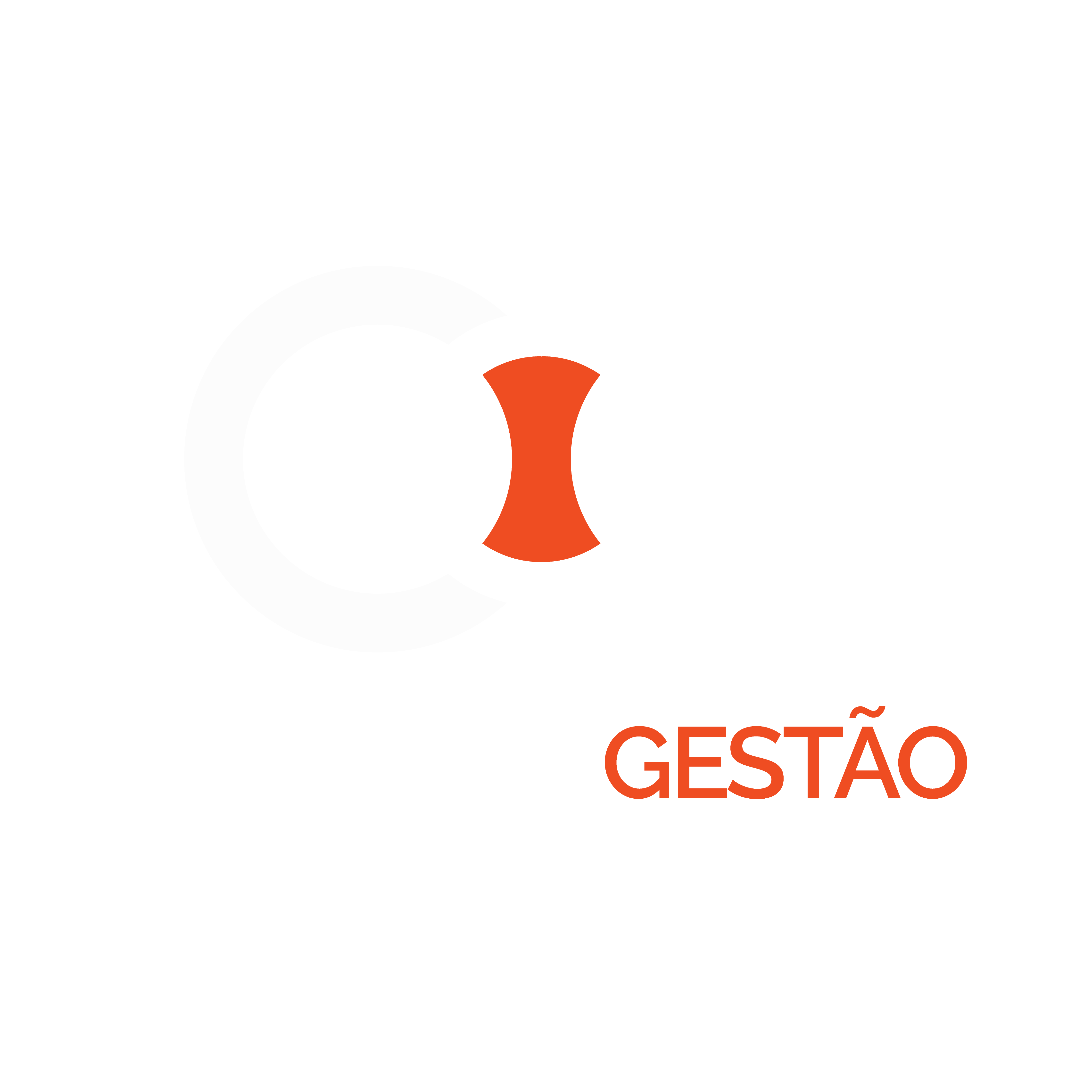 Control Gestão