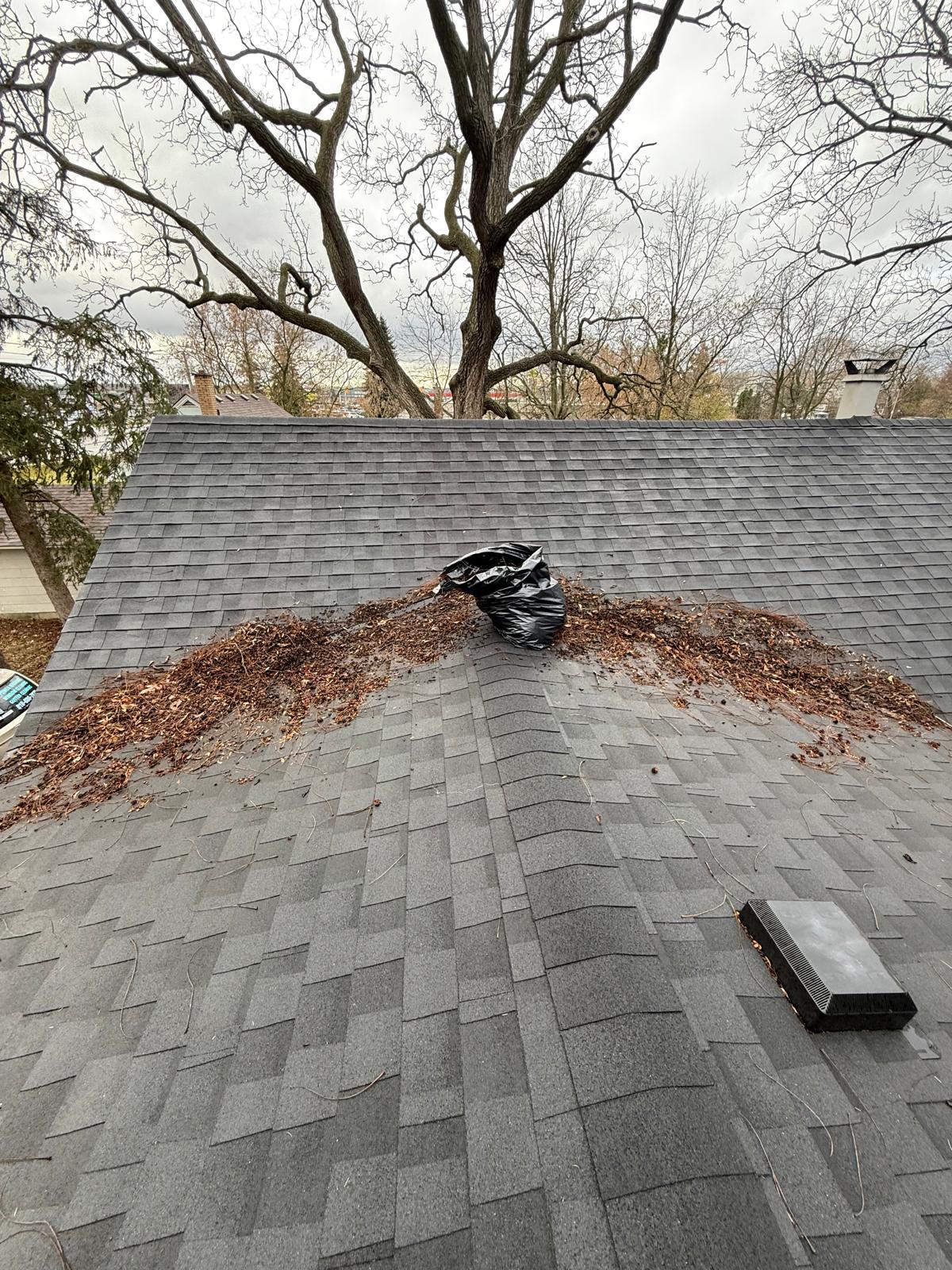 Professional Roof Cleaning in London Ontario