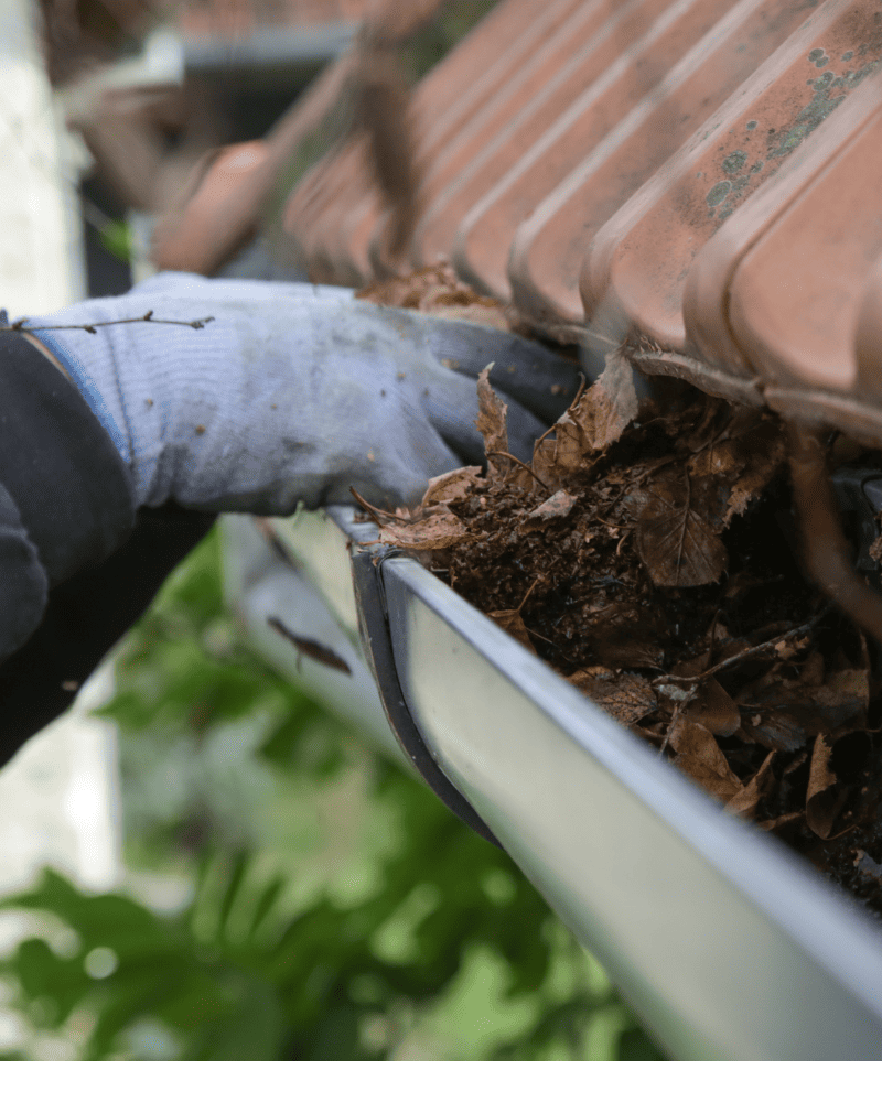 Gutter Cleaning