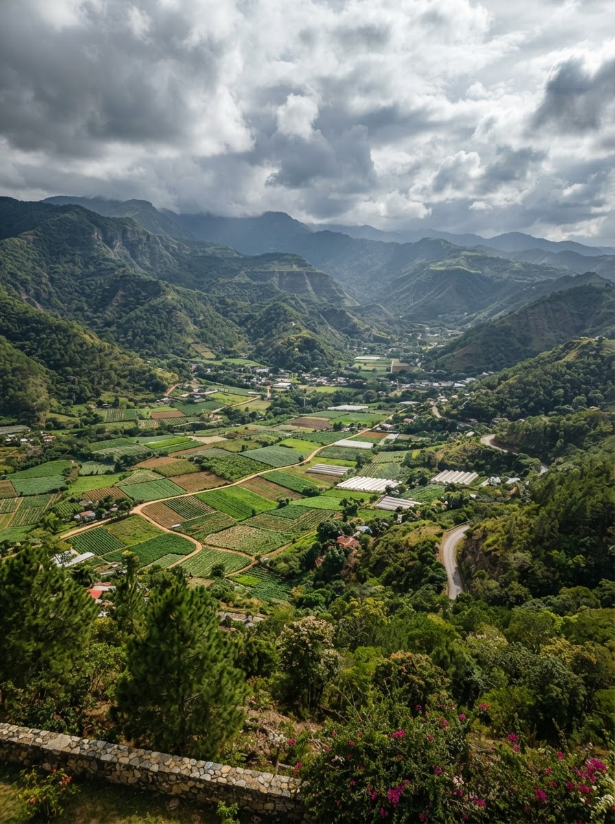 Constanza