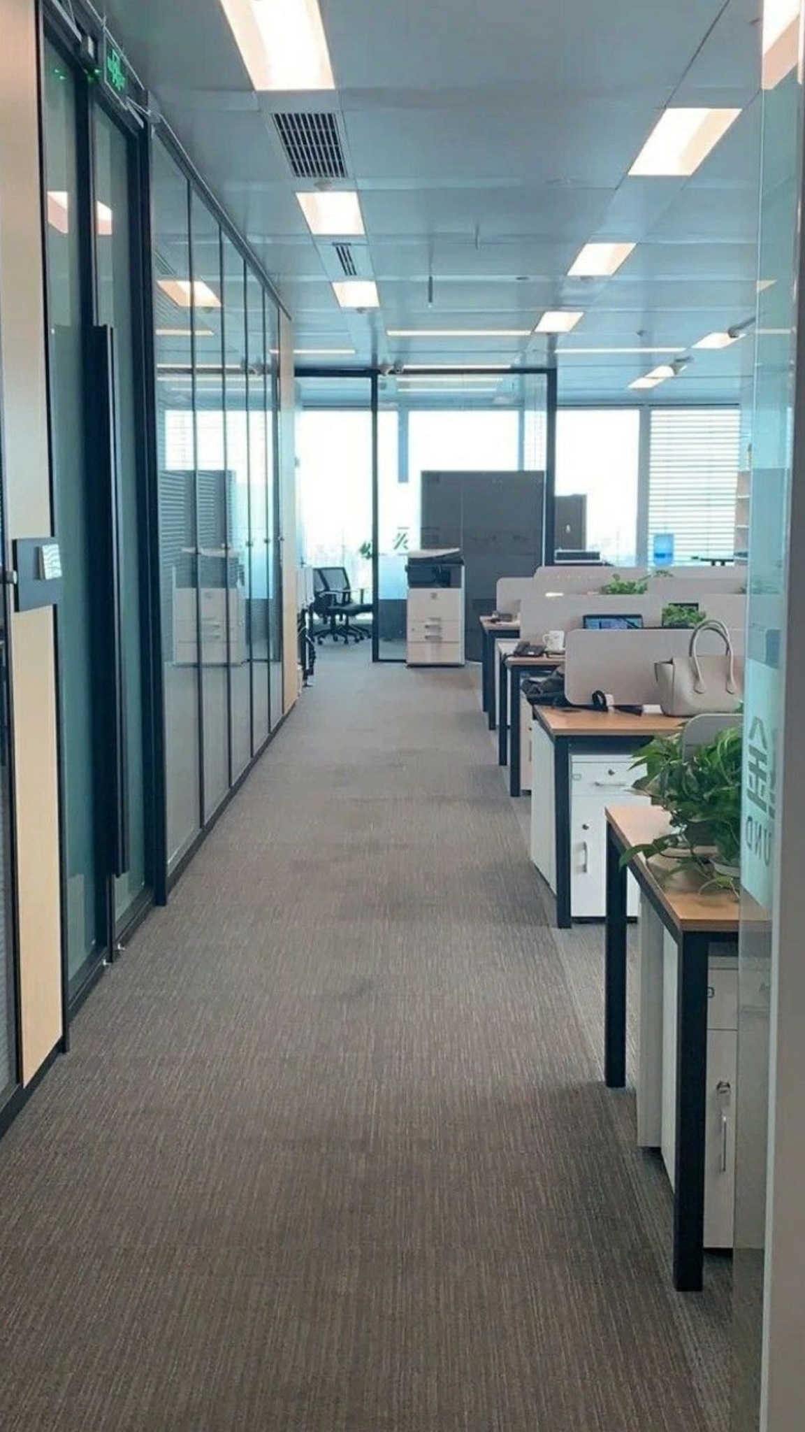 Clean commercial office hallway with glass walls and pristine carpet