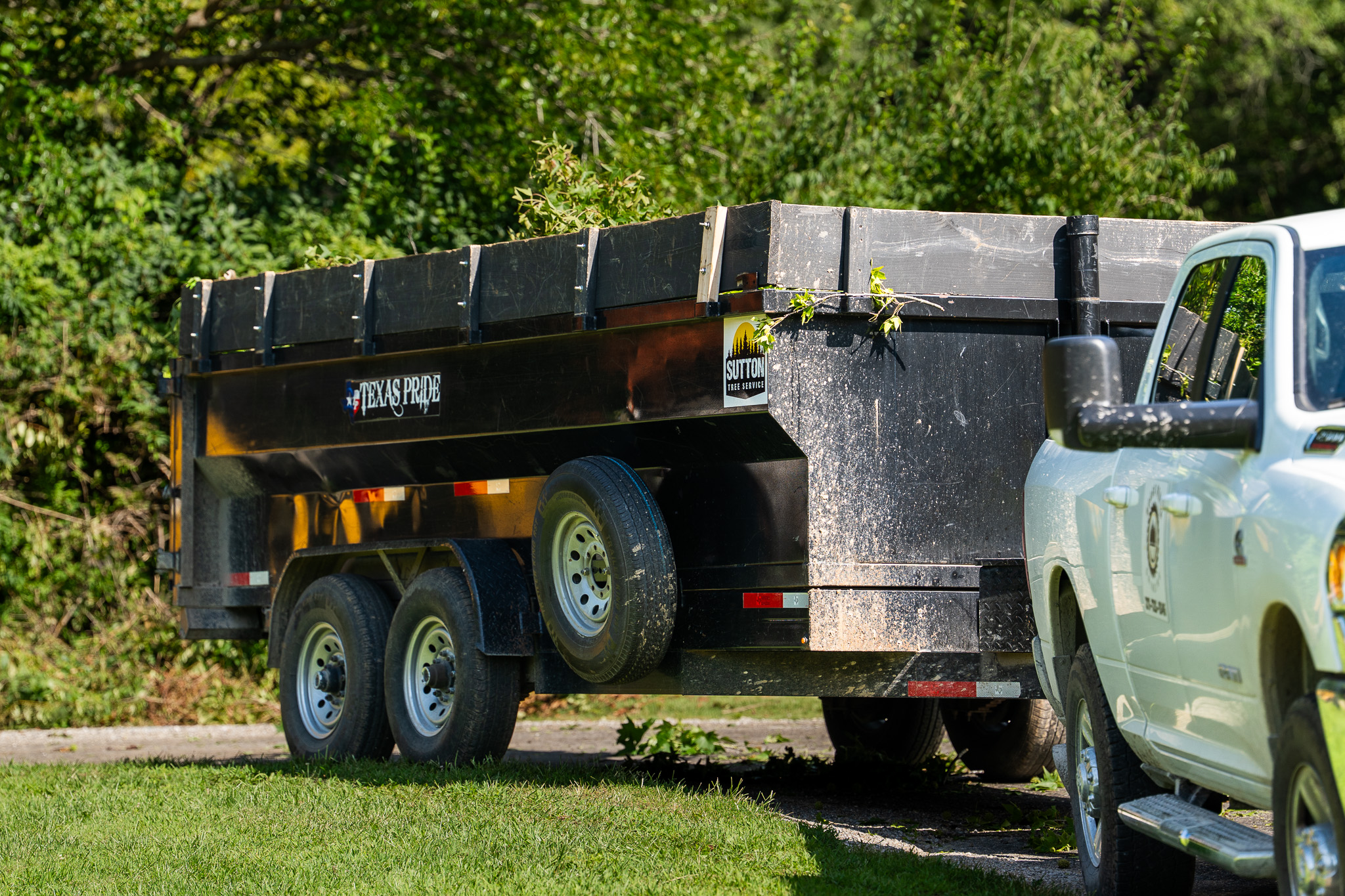 Dump Trailer — Sutton Tree Service equipment