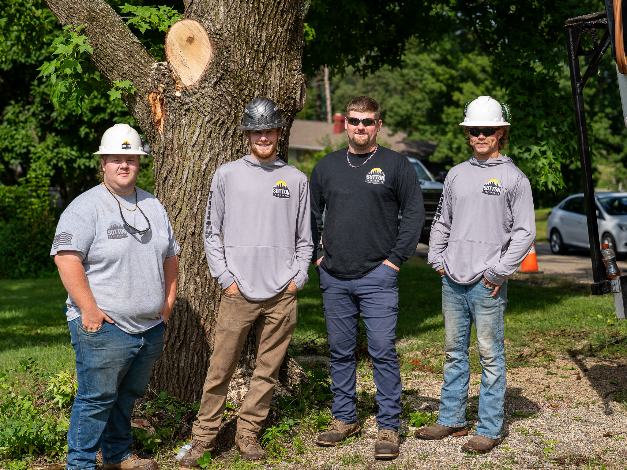 Sutton Tree Service crew standing together by a tree they just cut down — four team members in Sutton shirts and hard hats