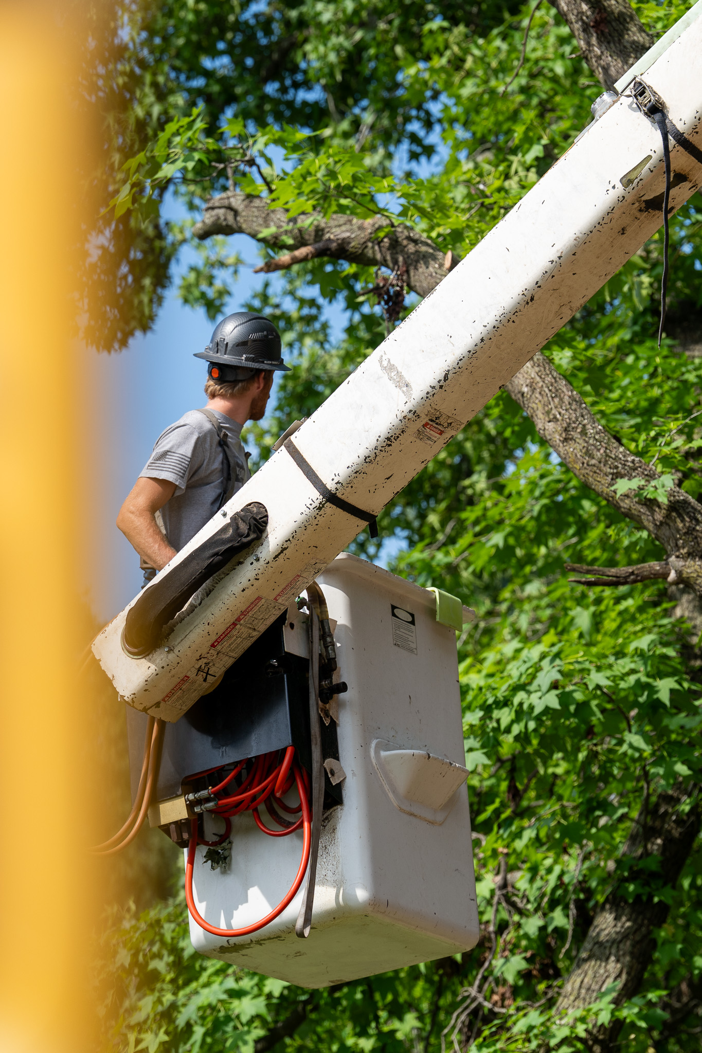 Crew member in Sutton bucket truck lift trimming near power lines in Petersburg Illinois