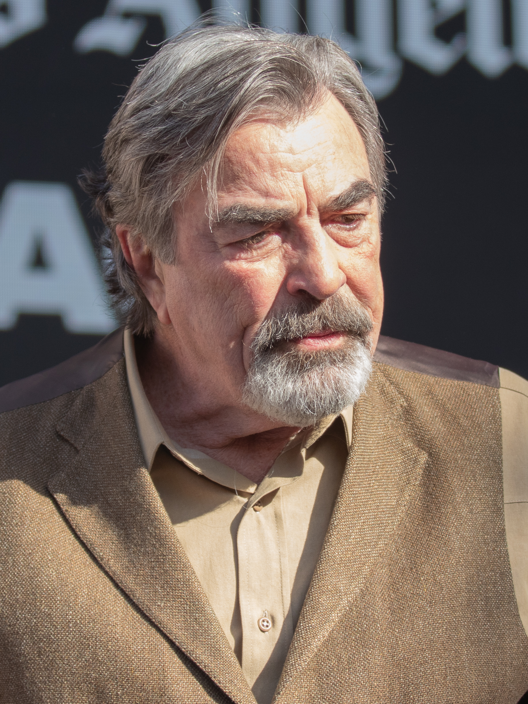 Tom Selleck portrait