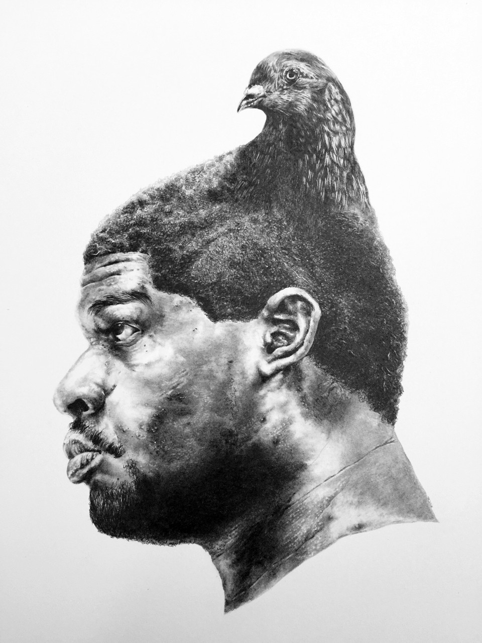 Cooped Up by Rashaun Rucker — hybrid portrait combining a Black man with rock pigeon features