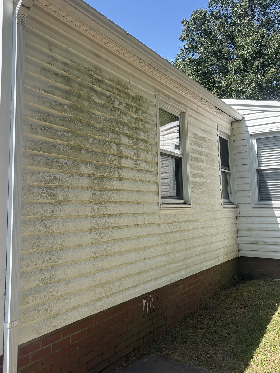 Vinyl siding covered in green algae before a soft wash