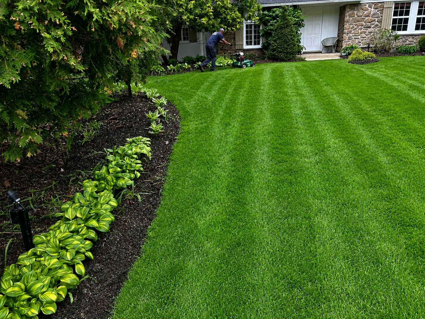 Lawn Care & Treatments