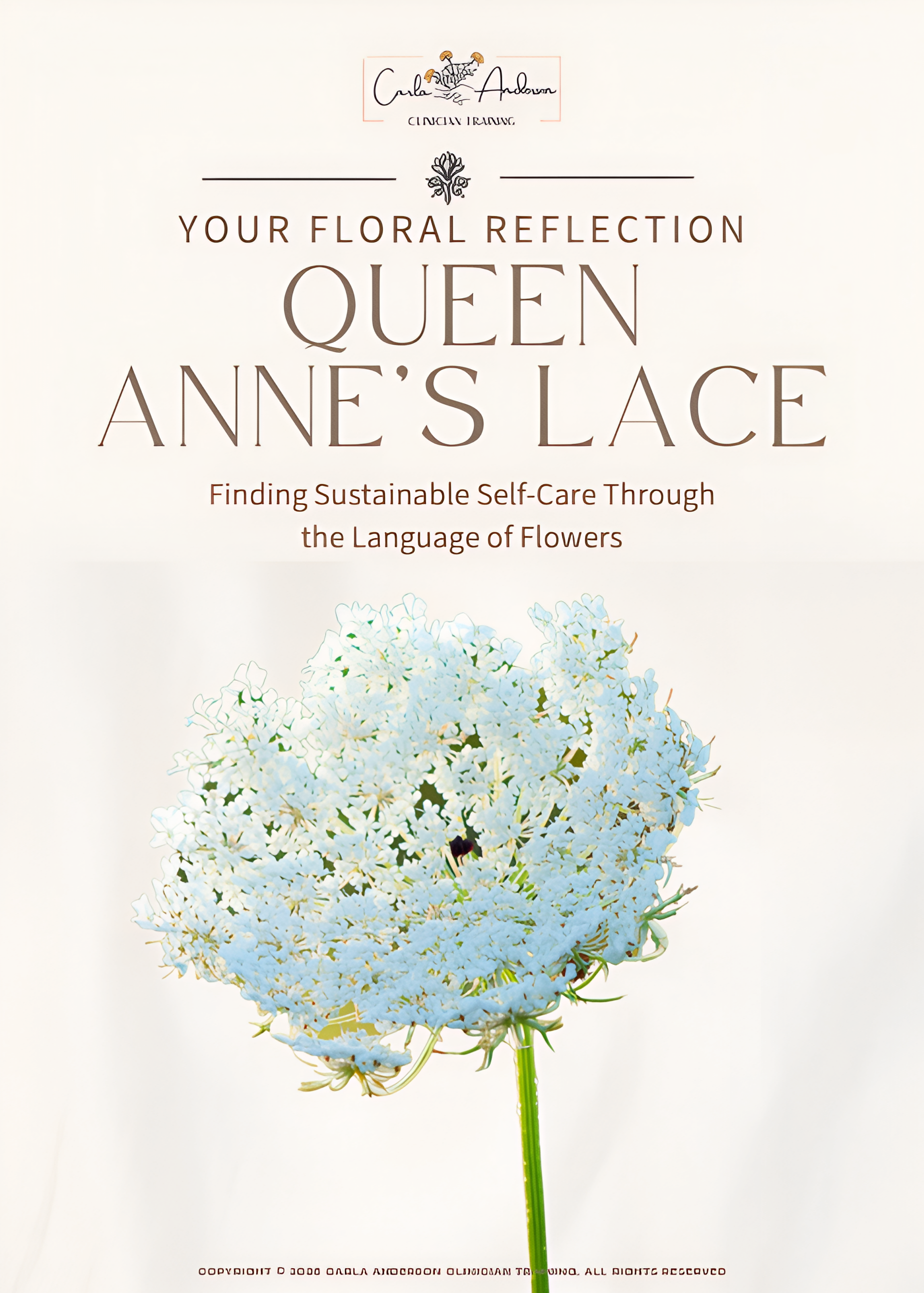 Queen Anne's Lace Journal