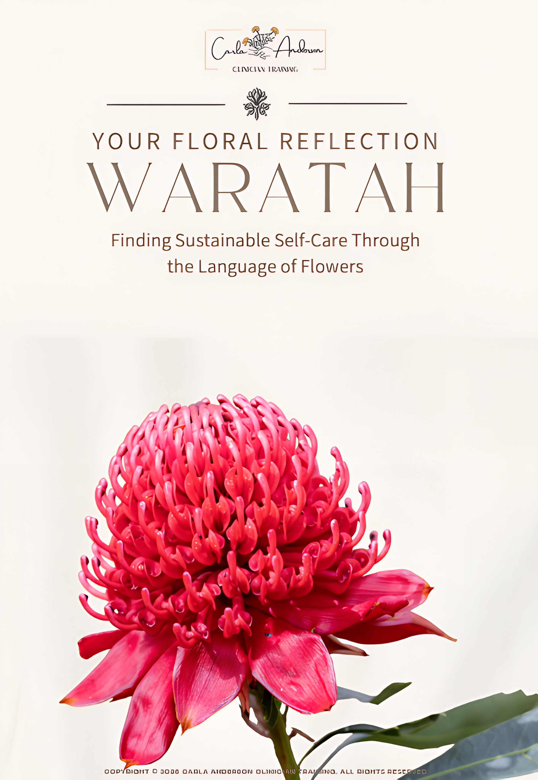 Waratah Journal