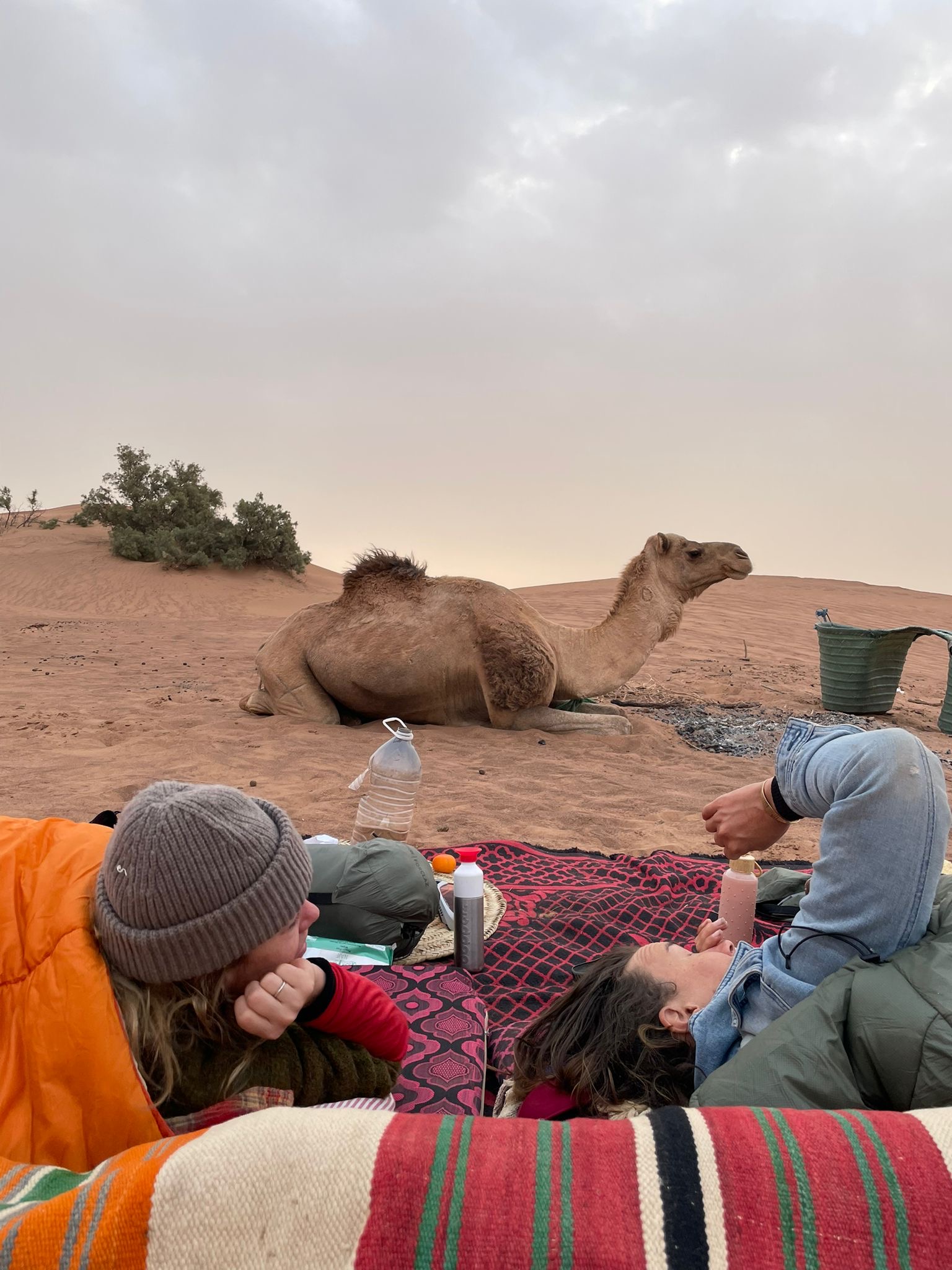 Resting on desert carpets with camel in the background