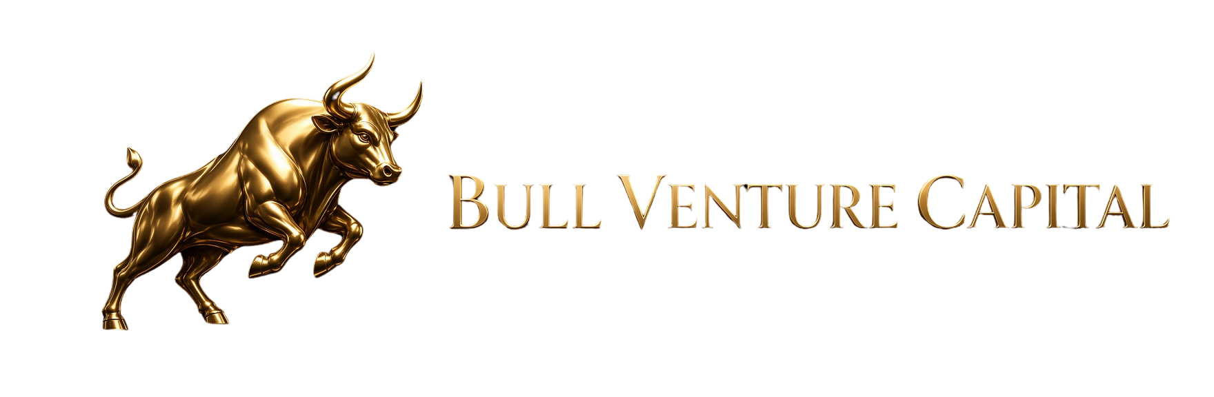 Bull Venture Capital