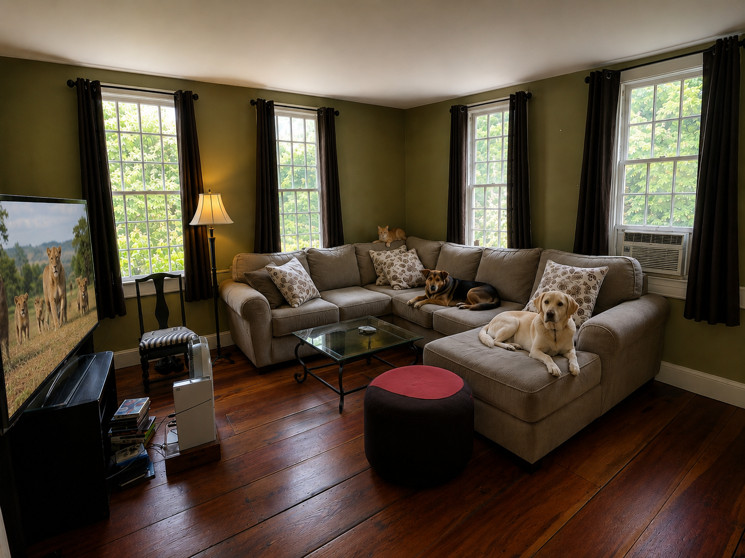 Cozy living room with two dogs relaxing on a comfortable sectional sofa