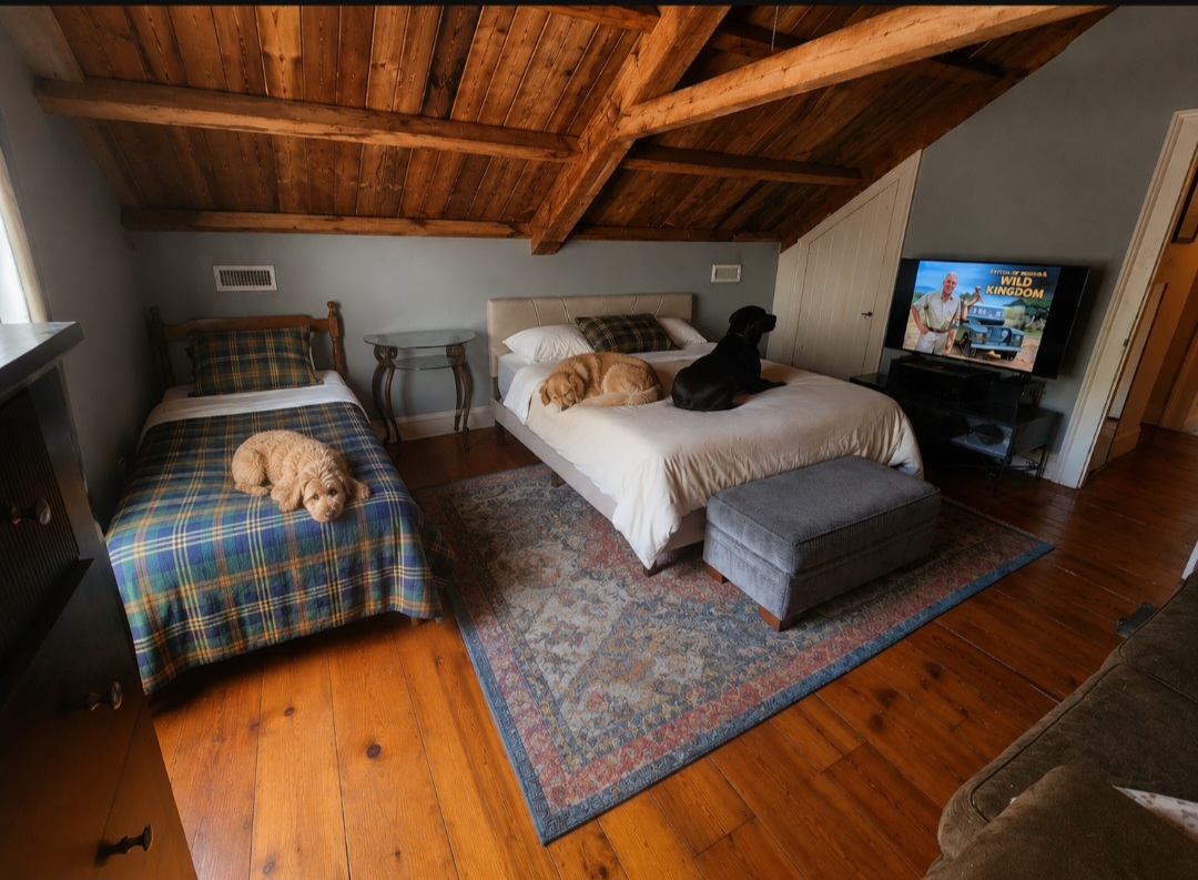 Cozy upstairs bedroom with a queen bed and full bed under wooden beams, where two dogs relax while watching TV