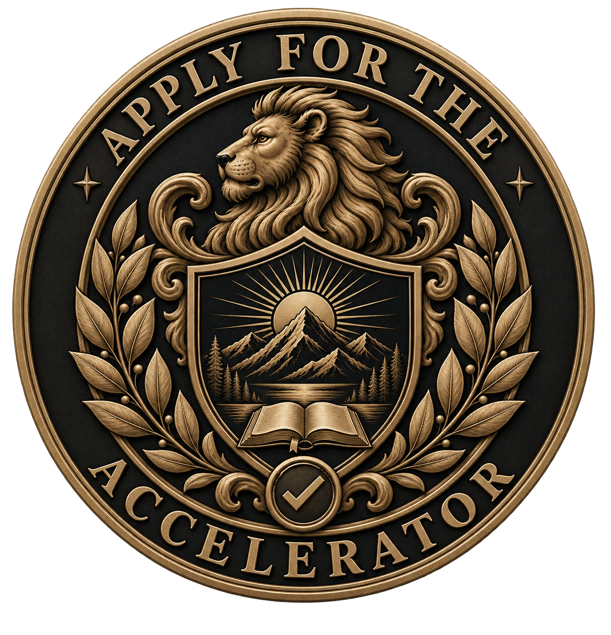 Apply for the Accelerator